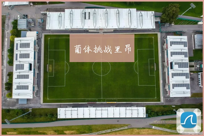 葡体挑战里昂