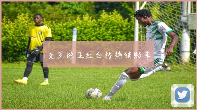 克罗地亚红白格热销赔率