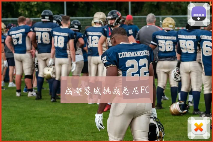 成都蓉城挑战悉尼FC