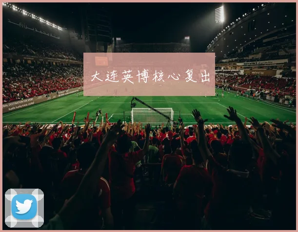 大连英博核心复出