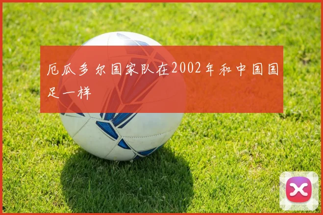 厄瓜多尔国家队在2002年和中国国足一样
