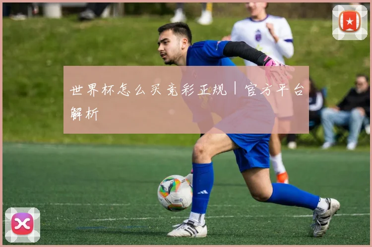 世界杯怎么买竞彩正规｜官方平台解析