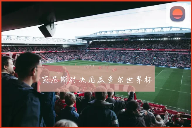 突尼斯对决厄瓜多尔世界杯