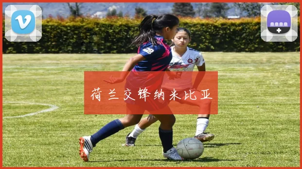 荷兰交锋纳米比亚