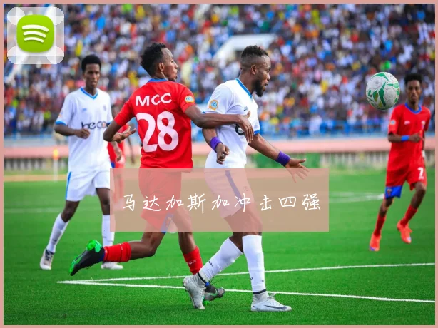 马达加斯加冲击四强