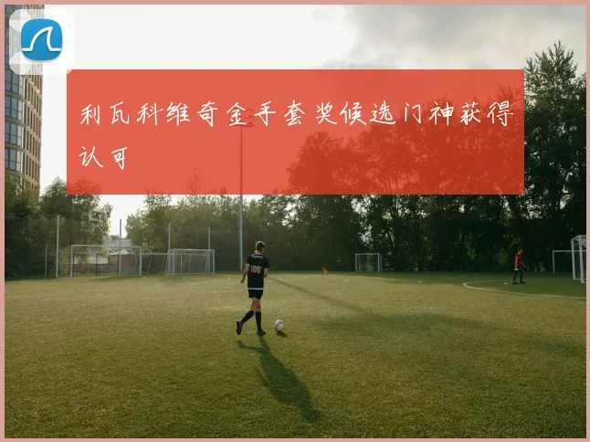 利瓦科维奇金手套奖候选门神获得认可