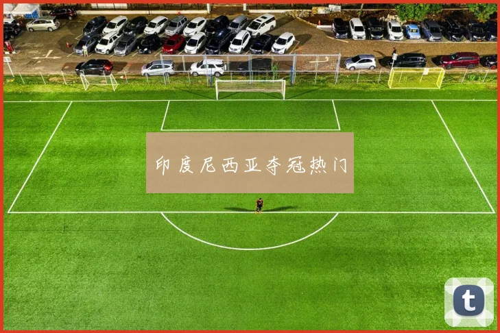 印度尼西亚夺冠热门