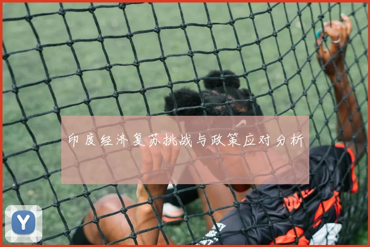 印度经济复苏挑战与政策应对分析