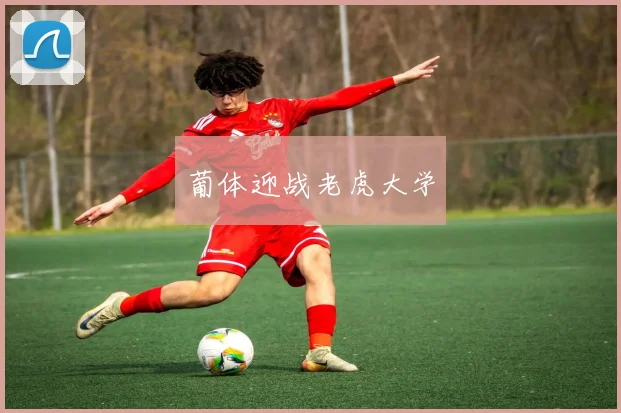 葡体迎战老虎大学