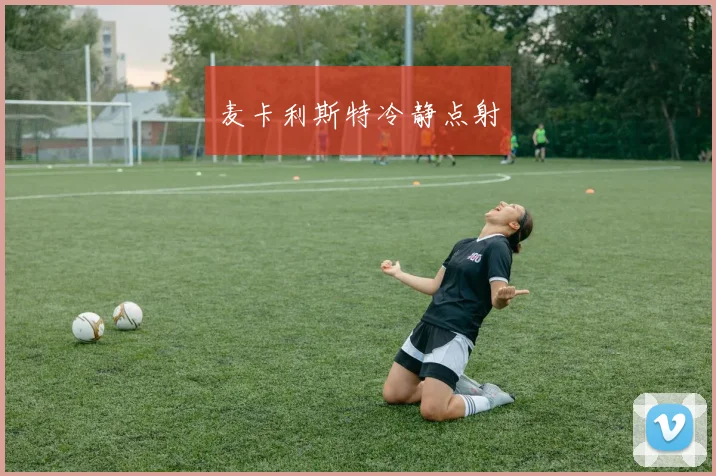 麦卡利斯特冷静点射