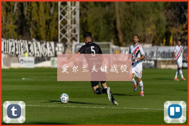 爱尔兰关键战役