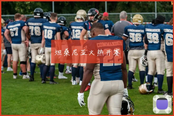 坦桑尼亚火热开赛