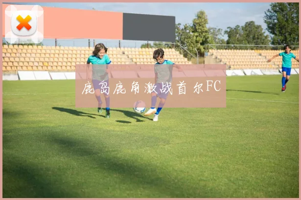 鹿岛鹿角激战首尔FC