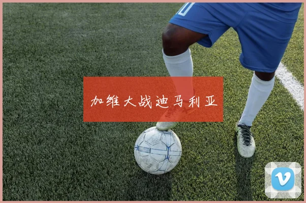 加维大战迪马利亚