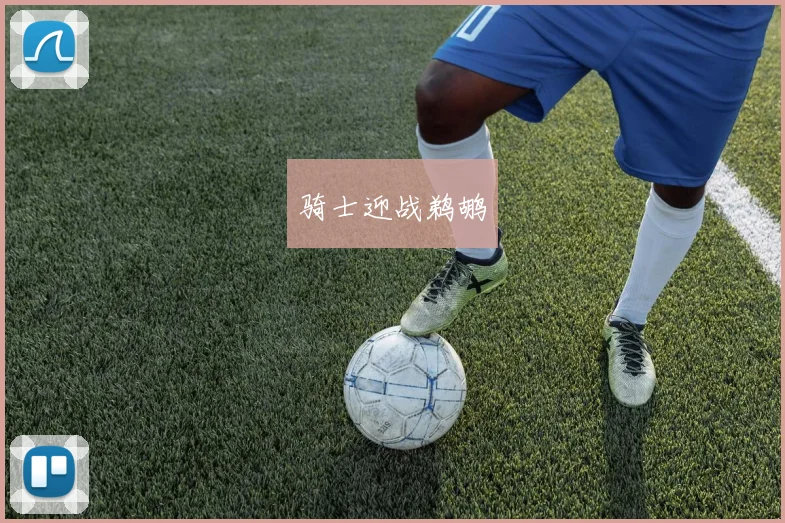 骑士迎战鹈鹕