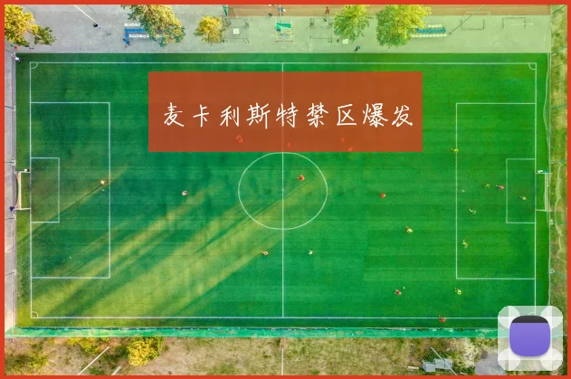 麦卡利斯特禁区爆发