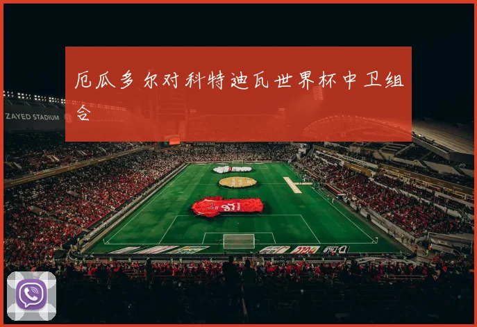 厄瓜多尔对科特迪瓦世界杯中卫组合