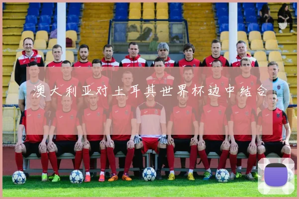 澳大利亚对土耳其世界杯边中结合