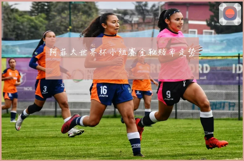 阿菲夫世界杯小组赛金靴赔率走势