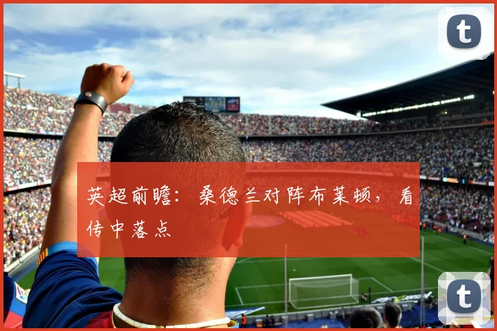 英超前瞻:桑德兰对阵布莱顿,看传中落点