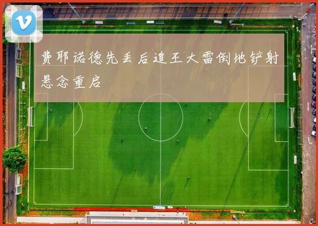 费耶诺德先丢后追王大雷倒地铲射悬念重启